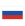 Language selection icon Russian
